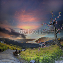 Obrazy i plakaty sunrise of the road with nice sakura
