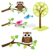 Blooming tree and branches with sitting owls and birds