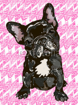 Obrazy i plakaty Illustration of the dog breed French bulldog