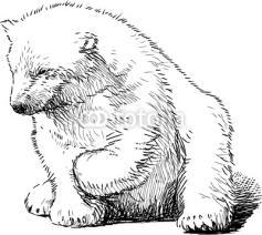 Naklejki sitting polar bear