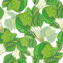 Fototapety Seamless pattern of hand drawn spinach
