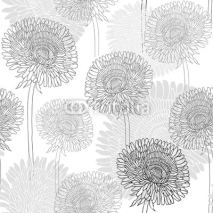 Fototapety Seamless pattern of dandelions . Hand-drawn floral background, m