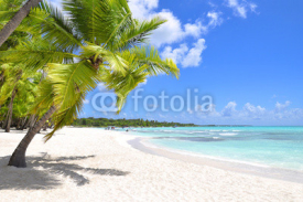 Naklejki Palm trees and tropical beach
