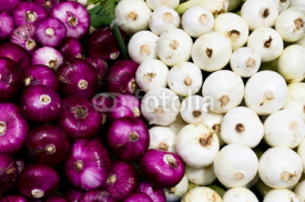 Naklejki Red and white onions