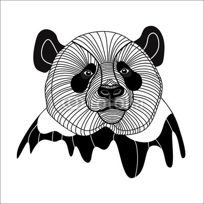 Bear panda head animal symbol, vector illustration for t-shirt.