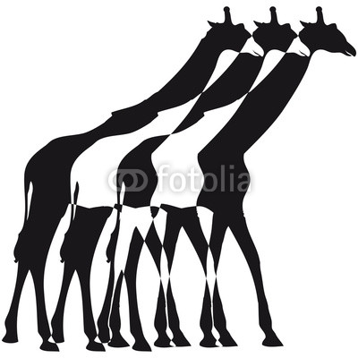 3 Giraffen Umriss Schatten Gehen Design