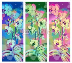 Fototapety orchids