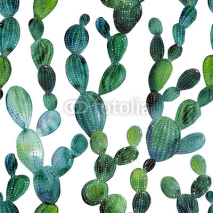 Fototapety Cactus pattern in watercolor style