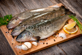 Naklejki Raw fish (brown trout)
